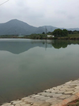 1743476587297926.png image.png