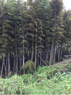 1743476607476577.png image.png